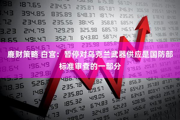 鹿财策略 白宫：暂停对乌克兰武器供应是国防部标准审查的一部分