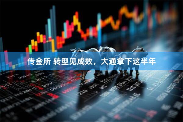 传金所 转型见成效，大通拿下这半年